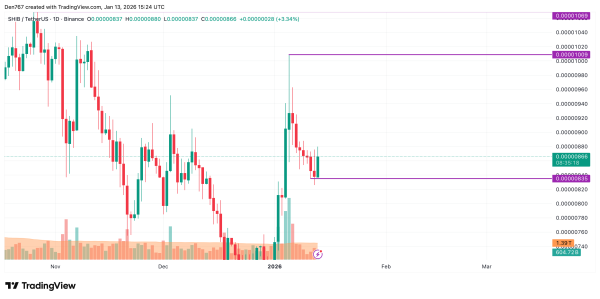 SHIB Price Analysis for January 13