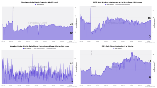 Top Bitcoin mining stocks rise amid US winter storm hashrate decline