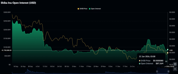 Shiba Inu Analysis for Jan 22: Where Next as SHIB Tests Bollinger Band Support?