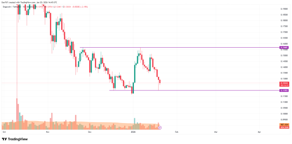 DOGE Price Analysis for January 20