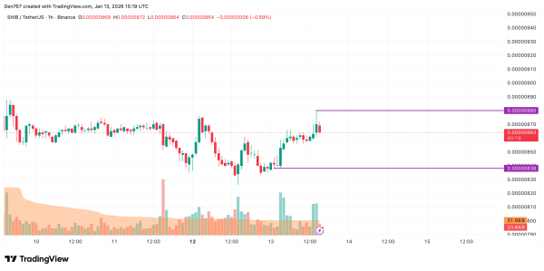 SHIB Price Analysis for January 13