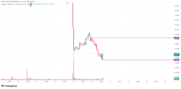 DOGE Price Analysis for January 20