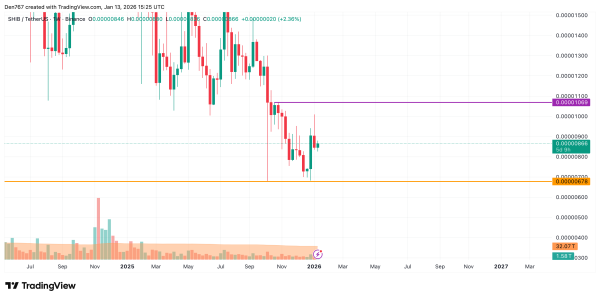 SHIB Price Analysis for January 13
