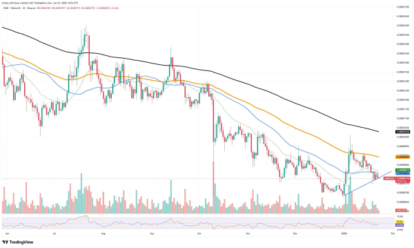 Crypto Market Review: Shiba Inu's (SHIB) Back in Business, Ethereum (ETH) Must Decide, XRP Locked in on $2