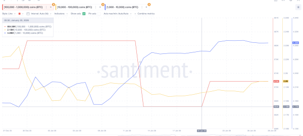 Bitcoin Rebound Stalls at 4% as Rate-Cut Mood Dominates ETF Buzz &mdash; What&rsquo;s Next For Price?