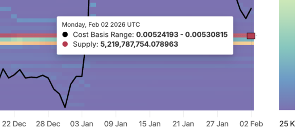 Onyxcoin Whales Accumulate 10 Billion XCN as Retail Misses a Layered Rally Setup