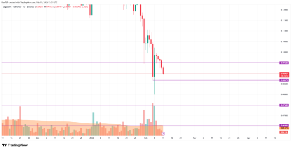 DOGE Price Analysis for February 11