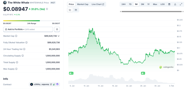 Solana&rsquo;s White Whale: Rug Pull, Trap, or the Perfect Meme Coin?