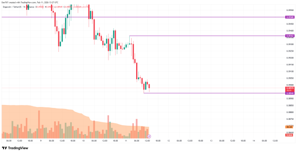 DOGE Price Analysis for February 11
