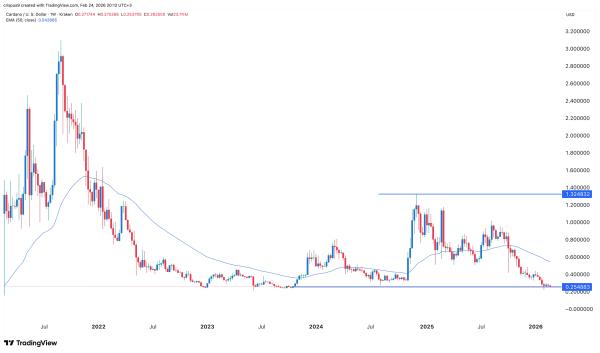 Midnight names MoneyGram, Vodafone, eToro as operators&mdash;Cardano price reacts