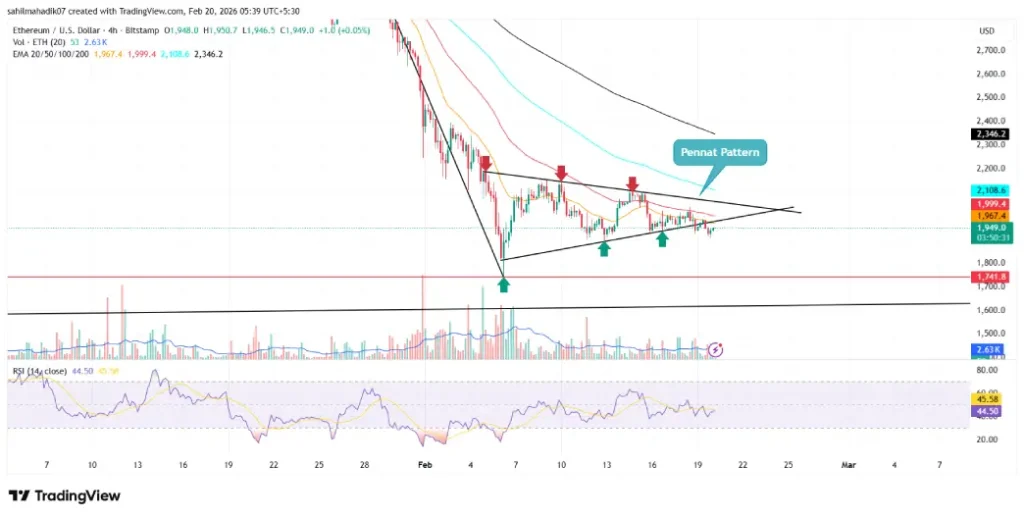 Ethereum Whales Accumulate Aggressively as Cost Basis Drops for First Time Ethereum Whales Accumulate Aggressively as Cost Basis Drops for First Time