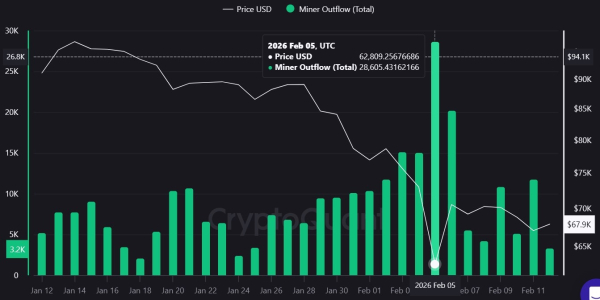Bitcoin miner outflows spike in January, but public sales remain limited