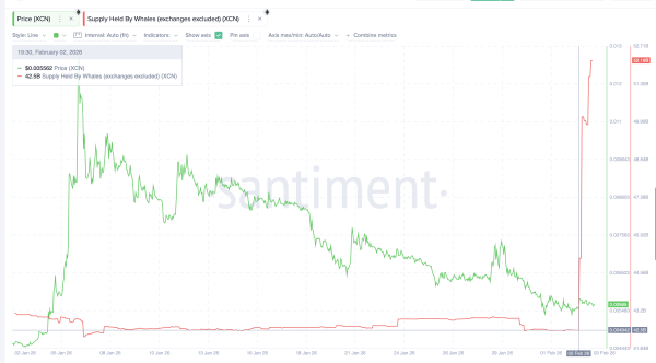 Onyxcoin Whales Accumulate 10 Billion XCN as Retail Misses a Layered Rally Setup
