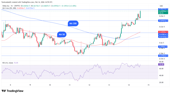 Shiba Inu Completes Golden Cross on Hourly Chart, Rises 6%
