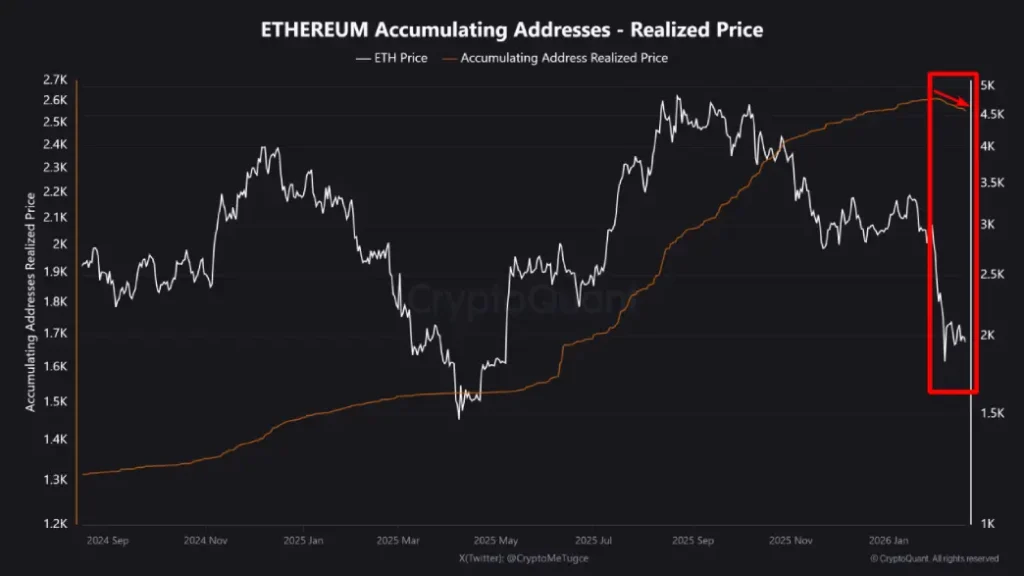 Ethereum Whales Accumulate Aggressively as Cost Basis Drops for First Time Ethereum Whales Accumulate Aggressively as Cost Basis Drops for First Time