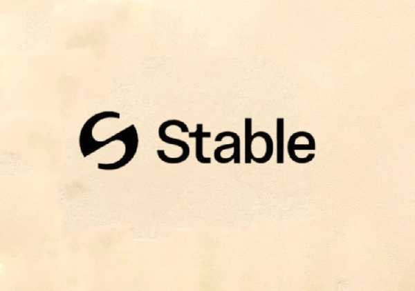 Stable: The USDT-Native Layer 1 Targeting Payments Stable: The USDT-Native Layer 1 Targeting Payments
