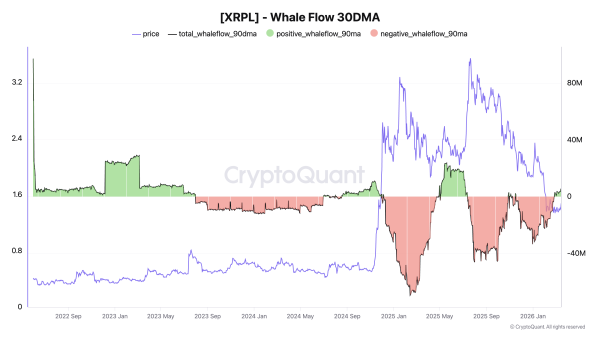 XRP Whales Are Back, But Rising Binance Supply Raises a Key Question