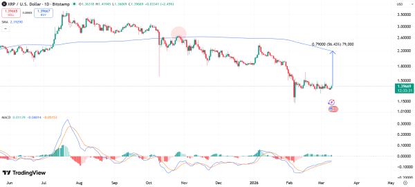 XRP Sharpe Z-Score Hit 8-Month Peak: What Does This Mean for Prices?
