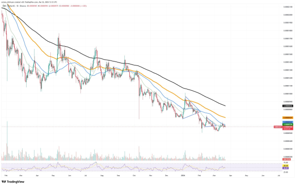 Crypto Market Review: Did Shiba Inu (SHIB) Finally Hit Price Top? Bitcoin's Catastrophic Tumbling Might Not Be Over, Can XRP Realistically Lose $1?