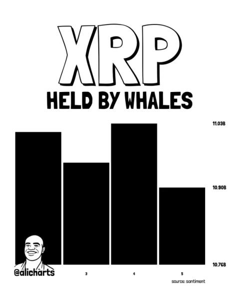 XRP Price Stuck in Range as Whale Transfers and Derivatives Outflow Grow&nbsp;&nbsp;