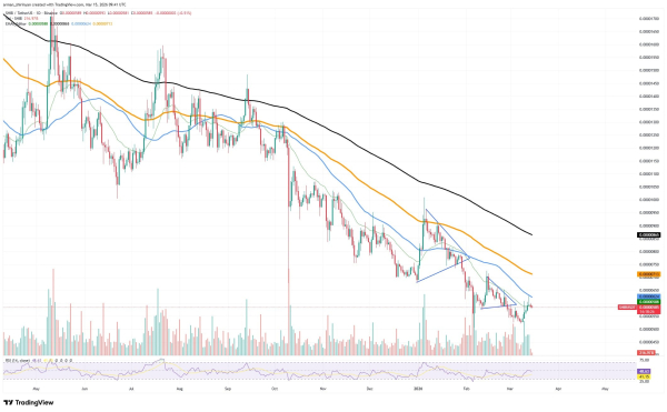Shiba Inu (SHIB) on the Verge of Breaking 81 Trillion Threshold