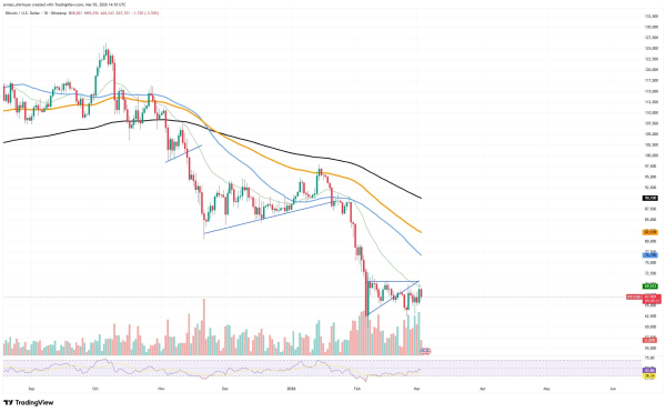 Crypto Market Review: One Shiba Inu (SHIB) Fail After Another, Will XRP's Price Slide Toward $1.60? Bitcoin (BTC) $70,000 Breakout Is Still Possible Crypto Market Review: One Shiba Inu (SHIB) Fail After Another, Will XRP's Price Slide Toward $1.60? Bitcoin (BTC) $70,000 Breakout Is Still Possible
