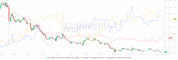 Cardano: $0.30 target comes into focus, but ADA&rsquo;s real move depends on&hellip;