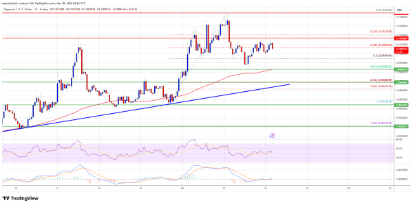 Dogecoin (DOGE) Retraces Gains &mdash; Bulls Guard Key Support Zone