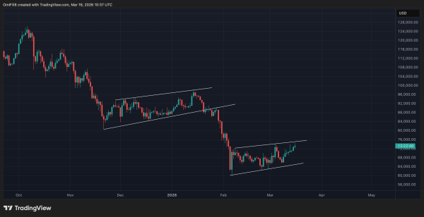 Memecoins outpace bitcoin, ether as 'barbell strategy' wins out Memecoins outpace bitcoin, ether as 'barbell strategy' wins out