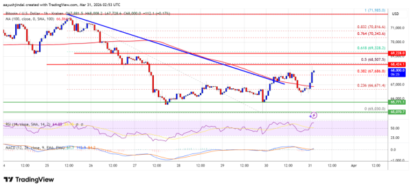Bitcoin Price Rebounds, But Weak Momentum Caps Further Gains