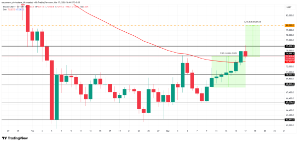 Bitcoin Price&rsquo;s Rise To $80,000 Requires 8% Rise: Can BTC Make It?