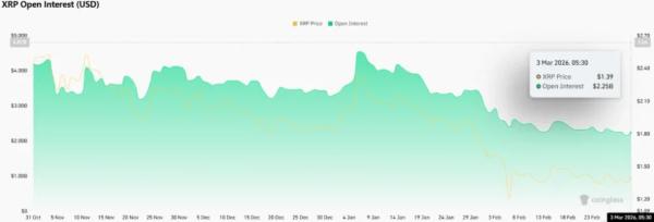 XRP Price Stuck in Range as Whale Transfers and Derivatives Outflow Grow&nbsp;&nbsp;