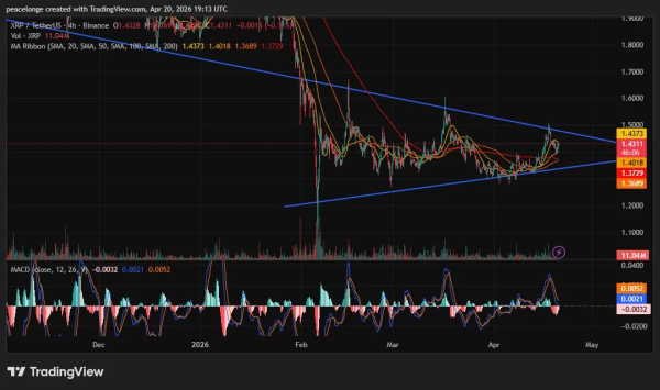 Will XRP price break out of the symmetrical triangle or slide as the 4H MACD turns bearish at the apex?