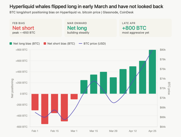 Bitcoin whales build long positions as funding stays deeply negative