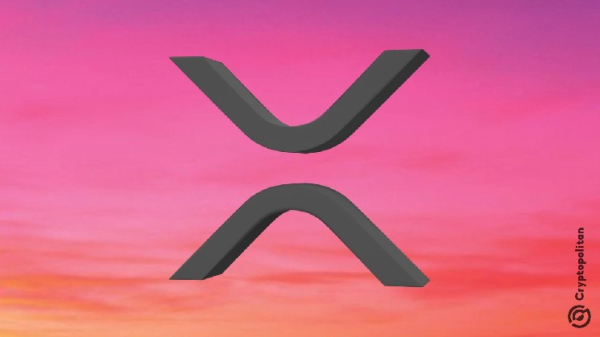 DeFi on Ripple gains pace as XRP holders tout new yield opportunities DeFi on Ripple gains pace as XRP holders tout new yield opportunities