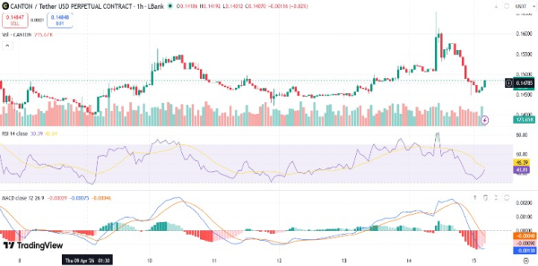 Canton (CC) Price Falls 4% After Delay in Upbit Listing
