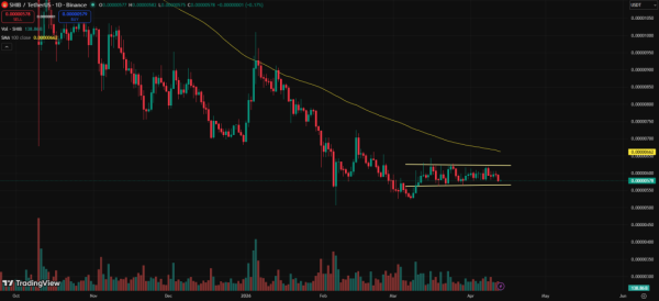 Shiba Inu Recovery in Doubt as Major Support Breaches