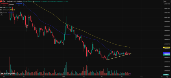 Shiba Inu Recovery in Doubt as Major Support Breaches