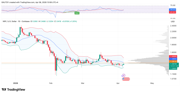 Don't Chase XRP's Price Bounce, Bollinger Bands Signal After $200 Million Short Squeeze
